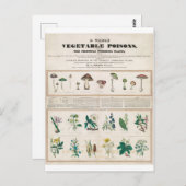 Poisonisch Plant Botanisch Briefkaart (Voorkant / Achterkant)