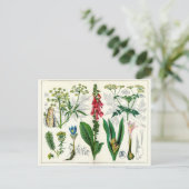 Poisonische Planten Briefkaart (Staand voorkant)