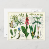 Poisonische Planten Briefkaart (Voorkant / Achterkant)