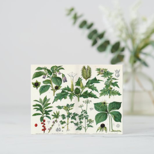 Poisonische Planten Briefkaart (Staand voorkant)