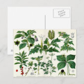 Poisonische Planten Briefkaart (Voorkant / Achterkant)