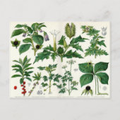 Poisonische Planten Briefkaart (Voorkant)
