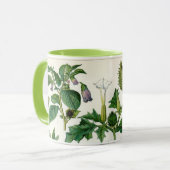 Poisonische Planten Mok (Voorkant links)