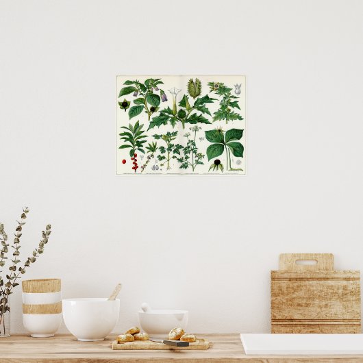 Poisonische Planten Poster (Keuken)