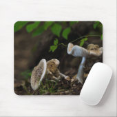 Poisonous Beauty Muismat (Met muis)