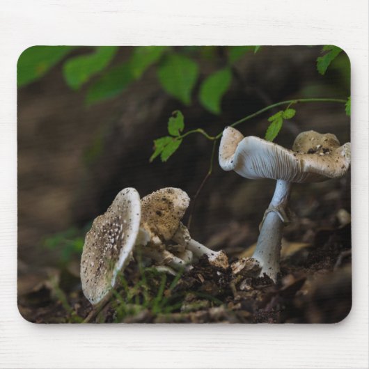 Poisonous Beauty Muismat (Voorkant)