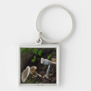 Poisonous Beauty Sleutelhanger