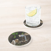 Poisonous Beauty Zandsteen Onderzetter (Zijkant)