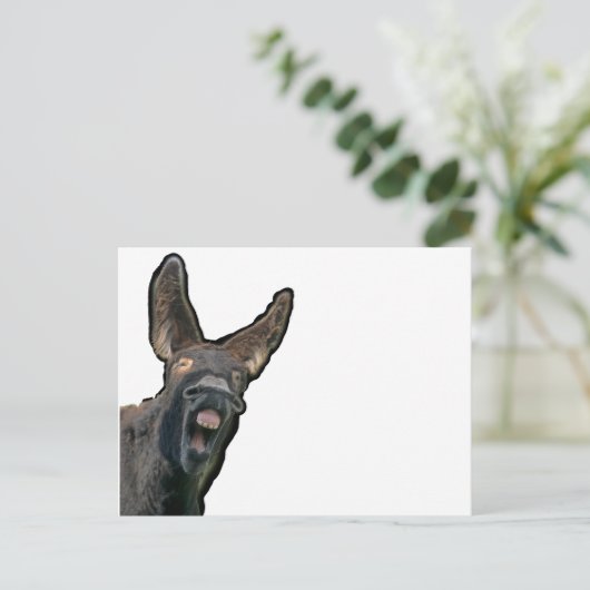 Poitou-Esel Briefkaart (Staand voorkant)