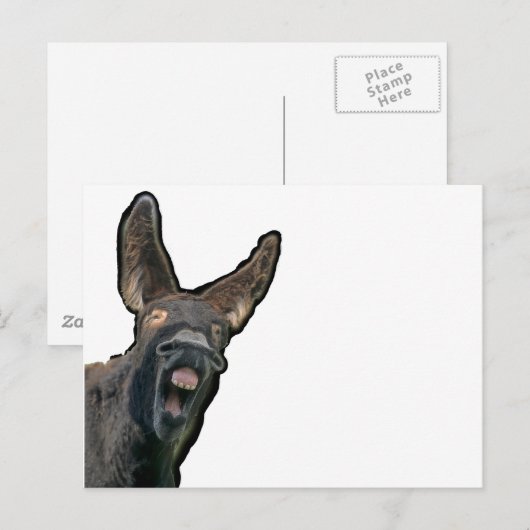 Poitou-Esel Briefkaart (Voorkant / Achterkant)