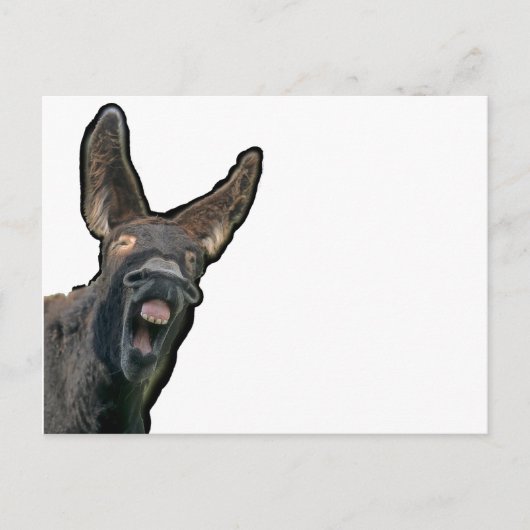 Poitou-Esel Briefkaart (Voorkant)