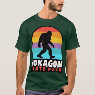 Pokagon State Park Indiana Retro Sunset T-shirt