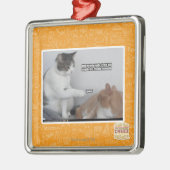 Poke. Metalen Ornament (Links)