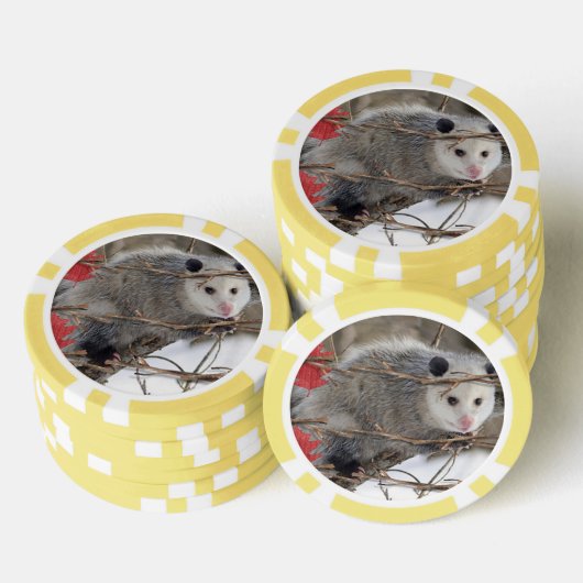 Poker Chips Opossum Natuur (Opstapeling)