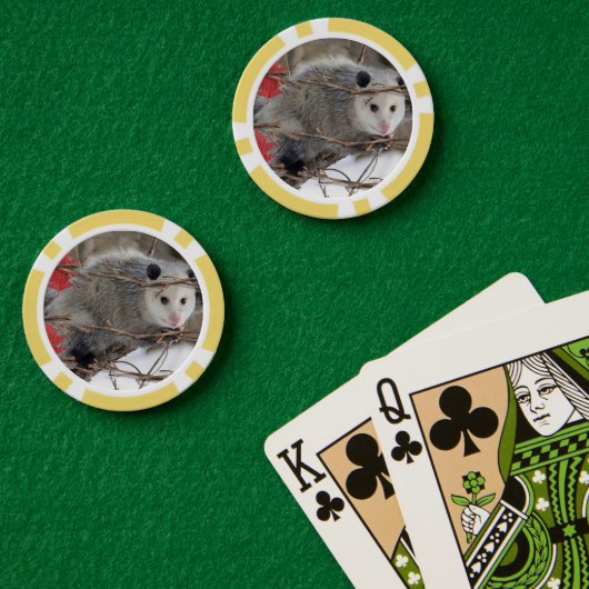 Poker Chips Opossum Natuur (Pokertafel (Dubbel))