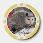 Poker Chips Opossum Natuur (Voorkant)