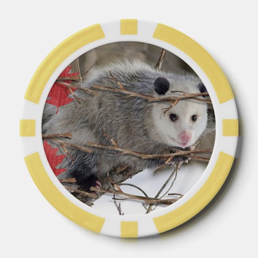 Poker Chips Opossum Natuur (Voorkant)