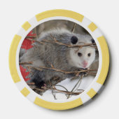 Poker Chips Opossum Natuur (Achterkant)