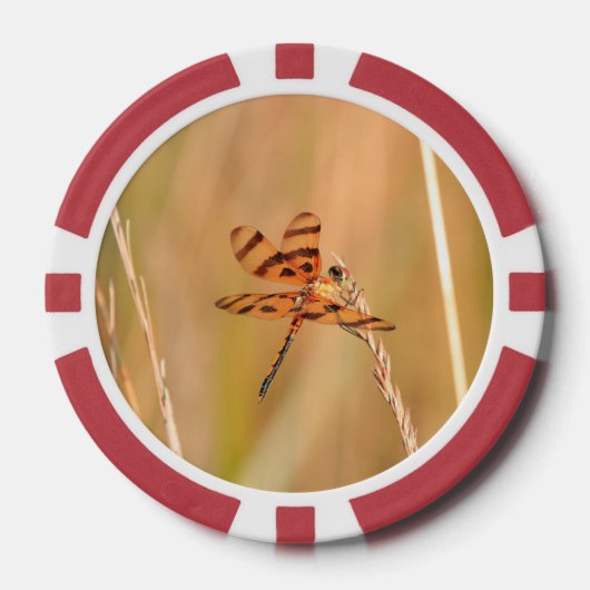 Pokerchips met libel en kolibrie afbeelding (Voorkant)