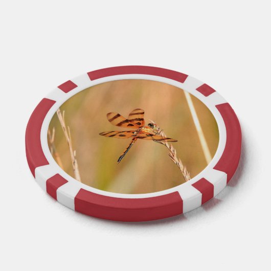 Pokerchips met libel en kolibrie afbeelding (Enkel)