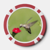 Pokerchips met libel en kolibrie afbeelding (Achterkant)