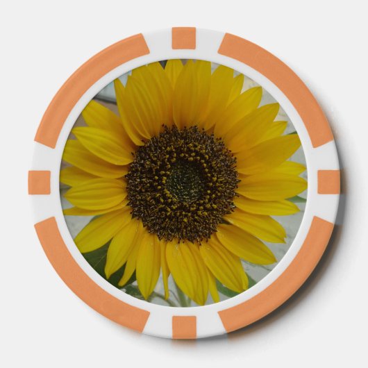 Pokerchipzonnebloem Poker Chips (Voorkant)