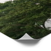 pokergebed poster (Hoek)