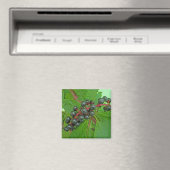 Pokeweed Berries Magnet (Insitu (Vaatwasser))