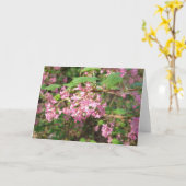 Pokey's Roze in de Park Kaart (Gele Bloem)