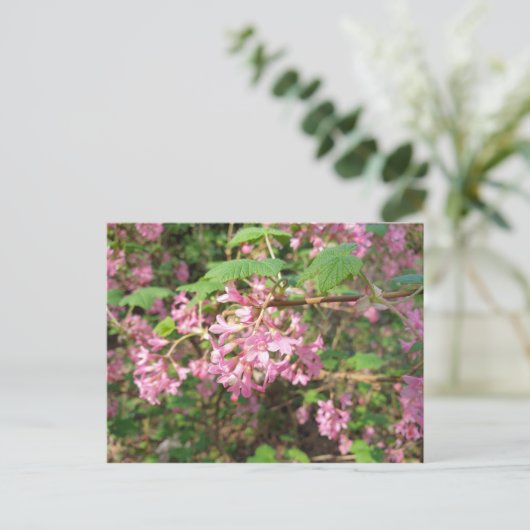 Pokey's Roze in het Park Briefkaart (Staand voorkant)