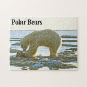 Polair Beer 10 Jigzaag Puzzle Legpuzzel (Horizontaal)