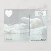 Polair Beer: Berlijn Briefkaart (Achterkant)