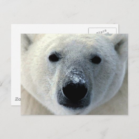 Polair Beer Briefkaart (Voorkant / Achterkant)