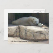 Polair Beer Briefkaart (Voorkant / Achterkant)