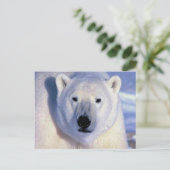 Polair Beer Briefkaart (Staand voorkant)