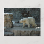 Polair Beer Briefkaart (Voorkant)