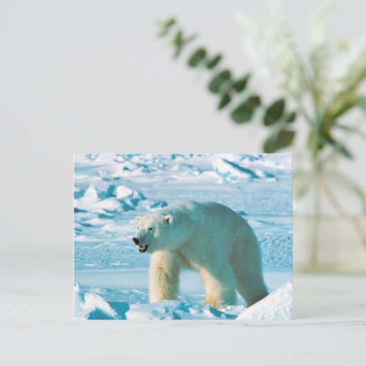 Polair Beer Briefkaart (Staand voorkant)