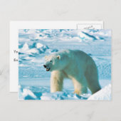 Polair Beer Briefkaart (Voorkant / Achterkant)