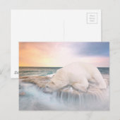 Polair Beer Briefkaart (Voorkant / Achterkant)