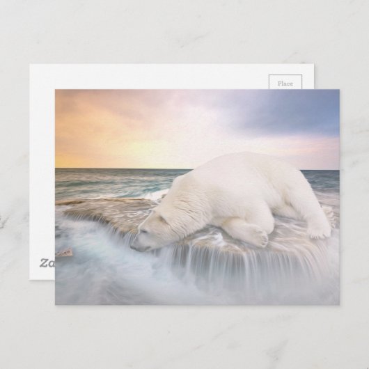 Polair Beer Briefkaart (Voorkant / Achterkant)