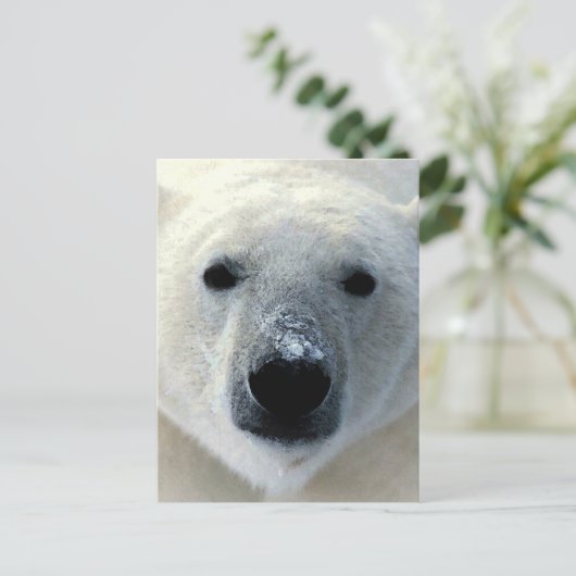 Polair Beer Briefkaart (Staand voorkant)