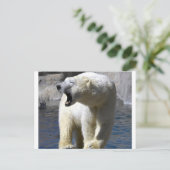 Polair Beer Briefkaart (Staand voorkant)