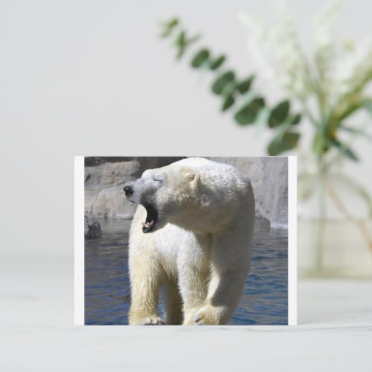 Polair Beer Briefkaart (Staand voorkant)