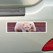 Polair Beer Bumpersticker (Op auto)