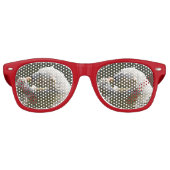 Polair Beer dat fruit in water eet Retro Zonnebril (Voorkant)