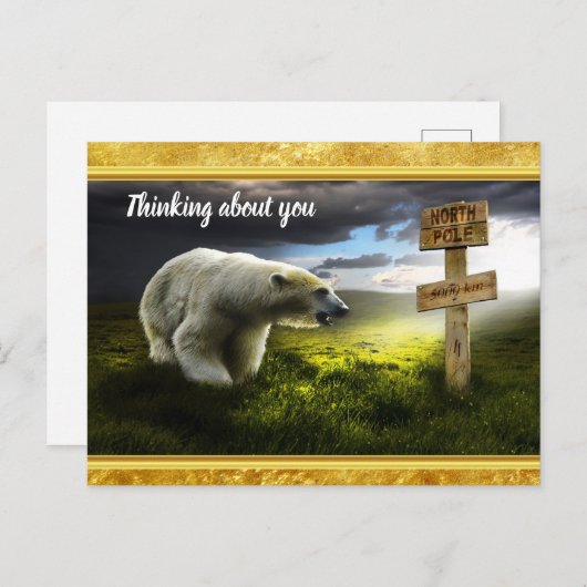 Polair beer dat het houten noord-poolbord bekijkt briefkaart (Voorkant / Achterkant)