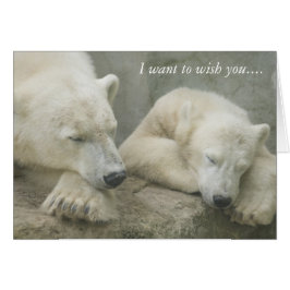 Polair Beer dat ik je wens....