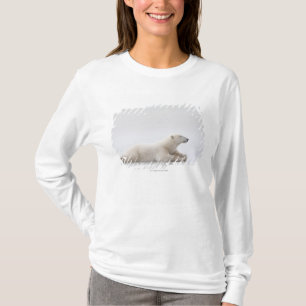 Polair Beer dat op een ijsmeer ligt T-shirt