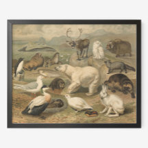 Polair Beer en Arctic Animal Friends