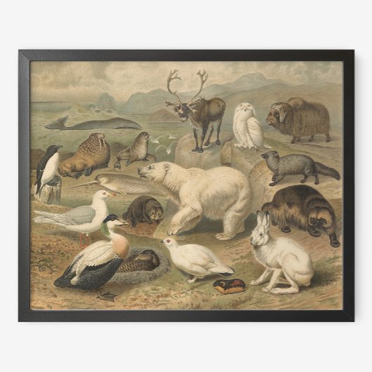 Polair Beer en Arctic Animal Friends  Poster